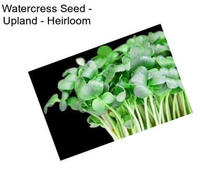 Watercress Seed - Upland - Heirloom