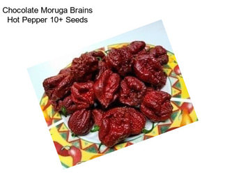 Chocolate Moruga Brains Hot Pepper 10+ Seeds