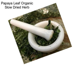 Papaya Leaf Organic Slow Dried Herb