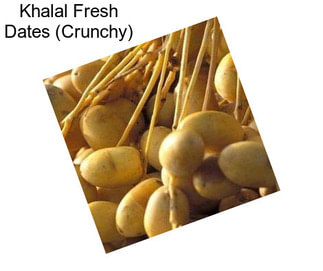Khalal Fresh Dates (Crunchy)