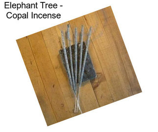 Elephant Tree - Copal Incense