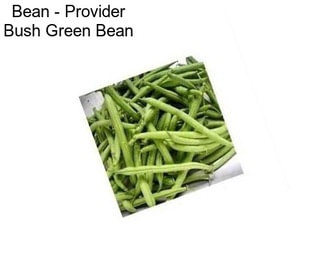 Bean - Provider Bush Green Bean