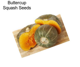 Buttercup Squash Seeds