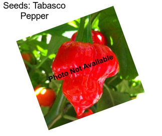 Seeds: Tabasco Pepper