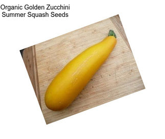 Organic Golden Zucchini Summer Squash Seeds