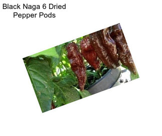 Black Naga 6 Dried Pepper Pods 