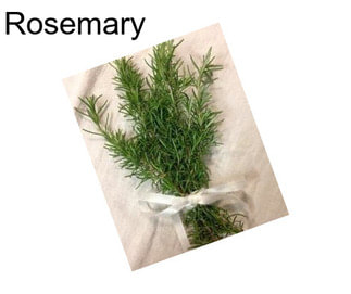 Rosemary