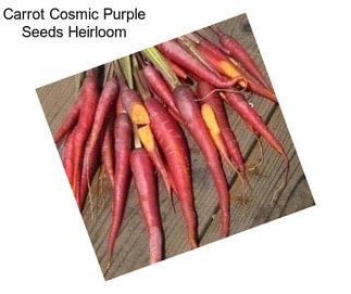 Carrot Cosmic Purple Seeds Heirloom