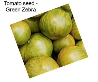 Tomato seed - Green Zebra