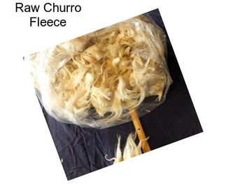 Raw Churro Fleece