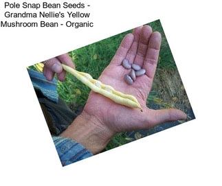 Pole Snap Bean Seeds - Grandma Nellie\'s Yellow Mushroom Bean - Organic