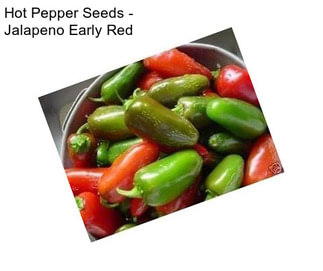 Hot Pepper Seeds - Jalapeno Early Red