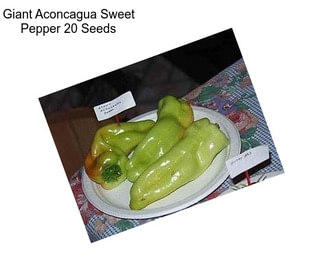 Giant Aconcagua Sweet Pepper 20 Seeds