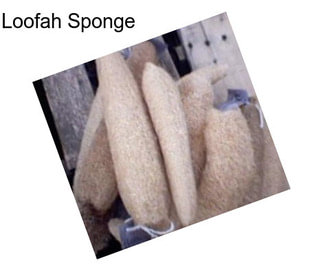 Loofah Sponge