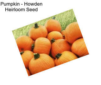 Pumpkin - Howden Heirloom Seed