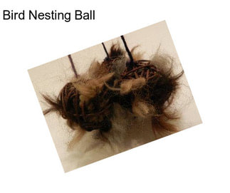 Bird Nesting Ball