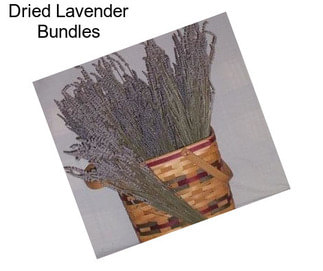 Dried Lavender Bundles