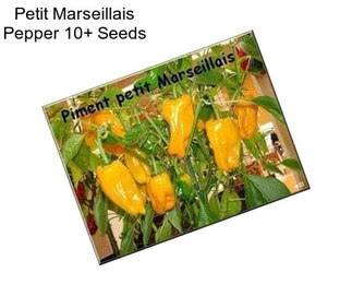 Petit Marseillais Pepper 10+ Seeds