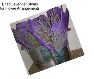 Dried Lavender Stems for Flower Arrangements