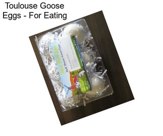 Toulouse Goose Eggs - For Eating