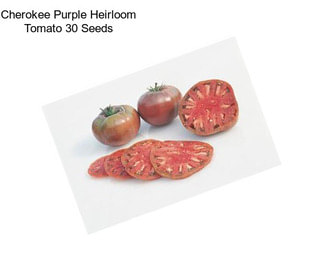 Cherokee Purple Heirloom Tomato 30 Seeds