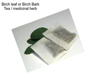 Birch leaf or Birch Bark Tea / medicinal herb