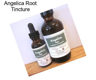 Angelica Root Tincture