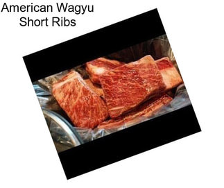 American Wagyu Short Ribs