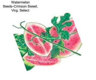 Watermelon Seeds-Crimson Sweet, Virg. Select