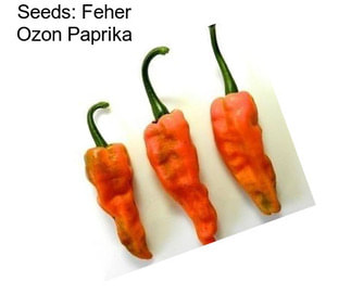 Seeds: Feher Ozon Paprika