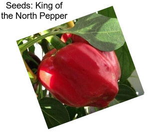 Seeds: King of the North Pepper