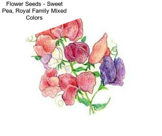 Flower Seeds - Sweet Pea, Royal Family Mixed Colors