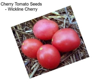 Cherry Tomato Seeds - Wickline Cherry