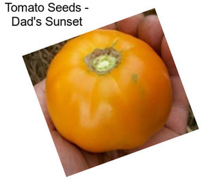 Tomato Seeds - Dad\'s Sunset