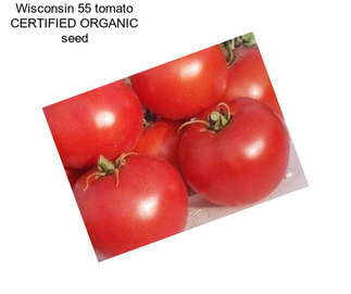 Wisconsin 55 tomato CERTIFIED ORGANIC seed