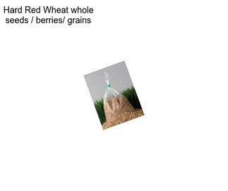 Hard Red Wheat whole seeds / berries/ grains