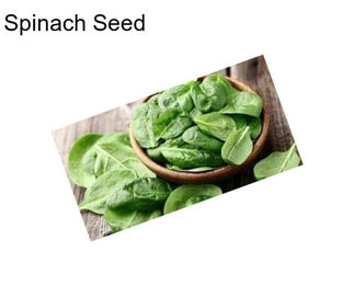 Spinach Seed