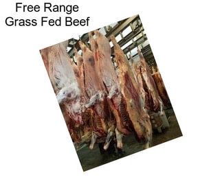 Free Range Grass Fed Beef