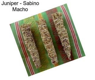 Juniper - Sabino Macho