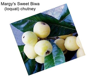 Margy\'s Sweet Biwa (loquat) chutney