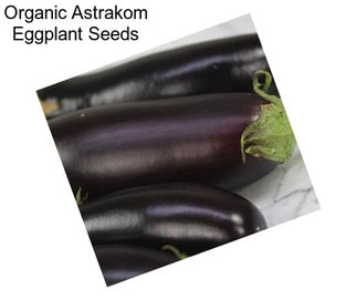 Organic Astrakom Eggplant Seeds
