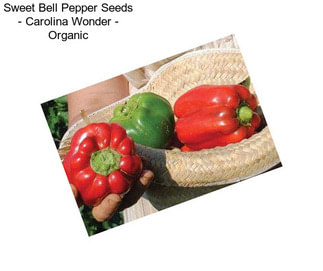 Sweet Bell Pepper Seeds - Carolina Wonder - Organic
