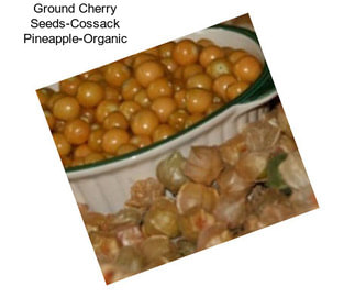 Ground Cherry Seeds-Cossack Pineapple-Organic