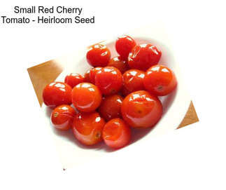 Small Red Cherry Tomato - Heirloom Seed