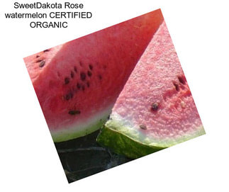 SweetDakota Rose watermelon CERTIFIED ORGANIC