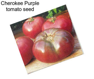 Cherokee Purple tomato seed