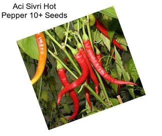 Aci Sivri Hot Pepper 10+ Seeds