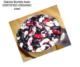 Dakota Bumble bean CERTIFIED ORGANIC seed