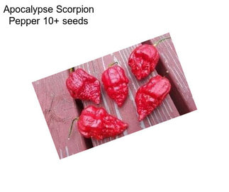 Apocalypse Scorpion Pepper 10+ seeds