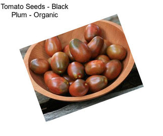 Tomato Seeds - Black Plum - Organic